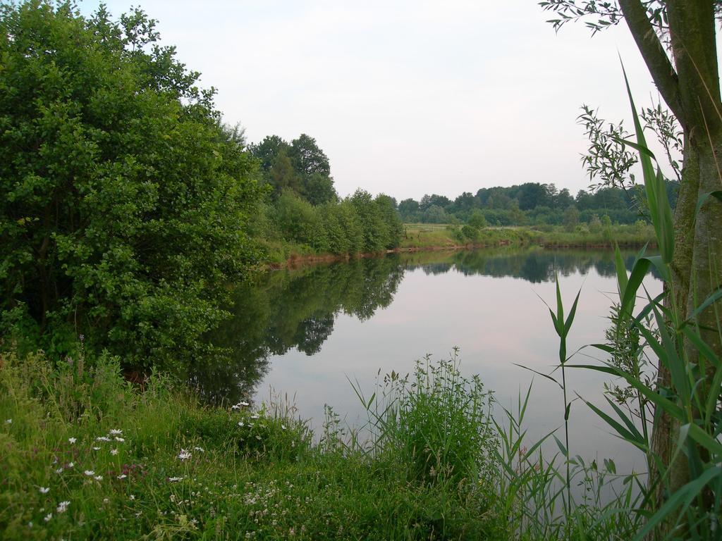 尤尔森Ferienhaus Am Waldchen别墅 外观 照片
